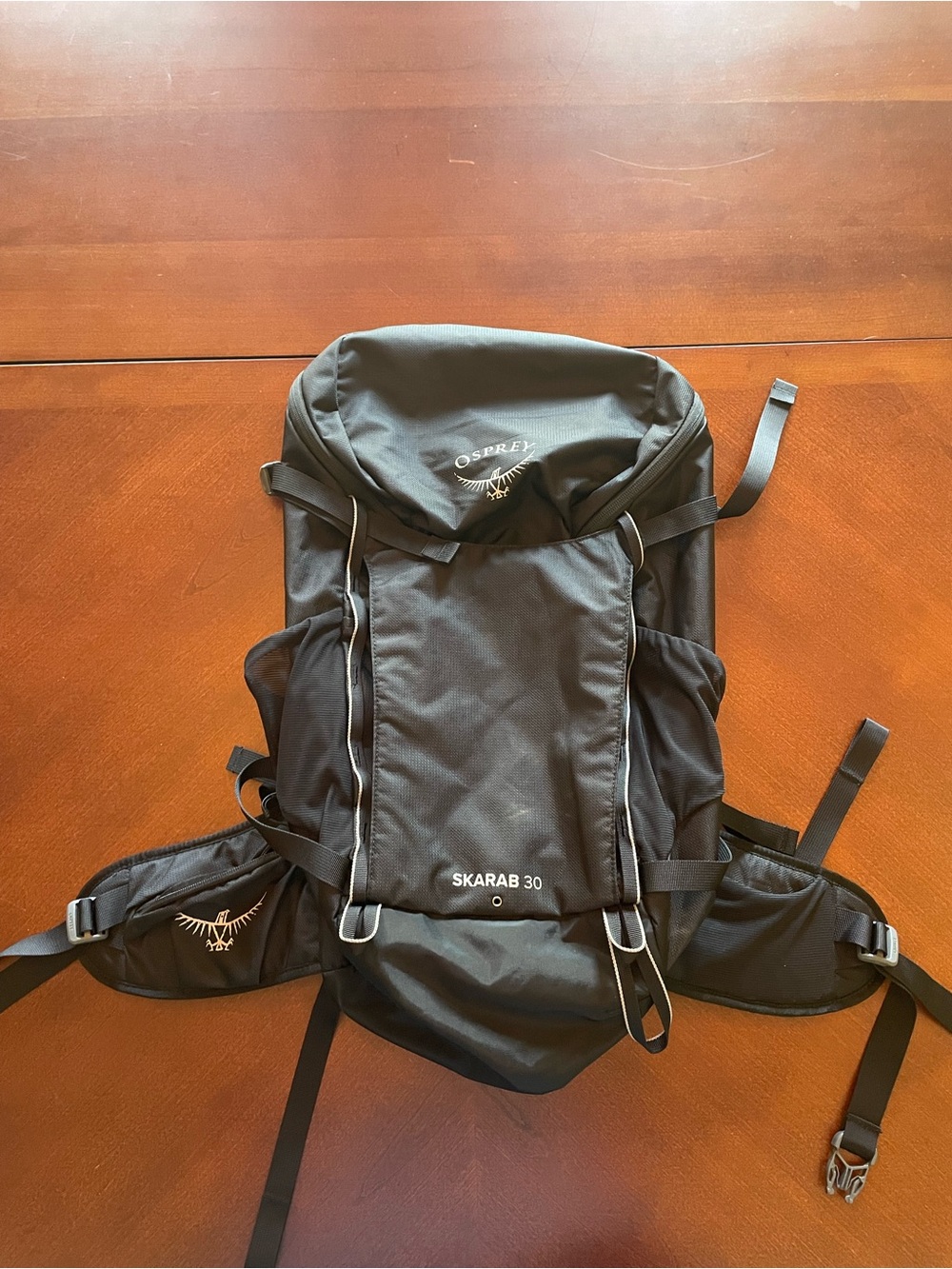 NWOT OSPREY Skarab 30 Men's Black Backpack